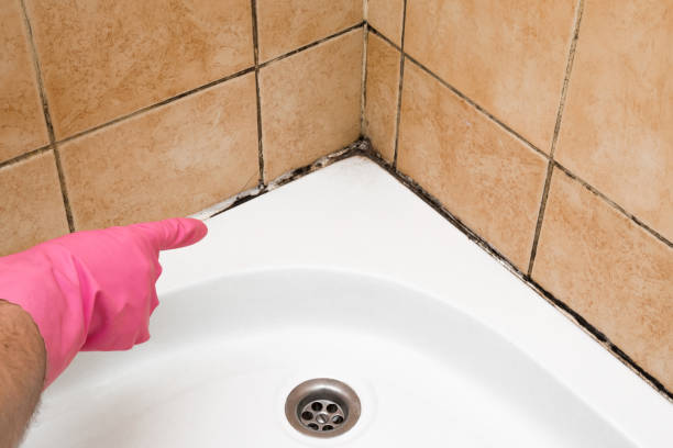 Best Office Mold Removal Services  in Abaster, AL